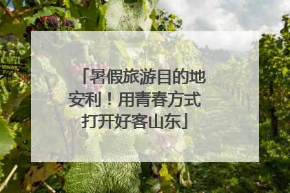 暑假旅游目的地安利！用青春方式打开好客山东